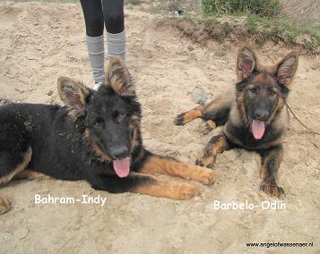 Bahram-Indy & Barbelo-Odin